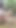 Thai Girl Walking Masturbation in the Jungle Thai Outdoor Public | Clip 1