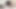 الملاك الآسيوي 26135