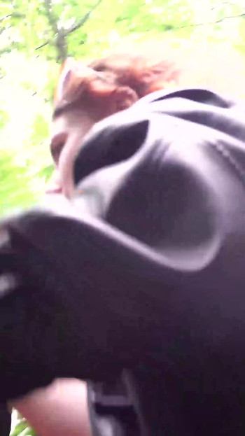 Went to the Waterfall for a Blowjob