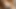 Busty sıcak venezuelan seksi büyük göt bebek olduğunu Kullanılmış için kedi smashing tarafından dev çük