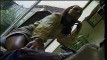 Pratinjau video