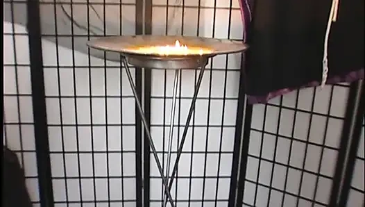 Sürtük masada dominant tarafından kullanılıyor