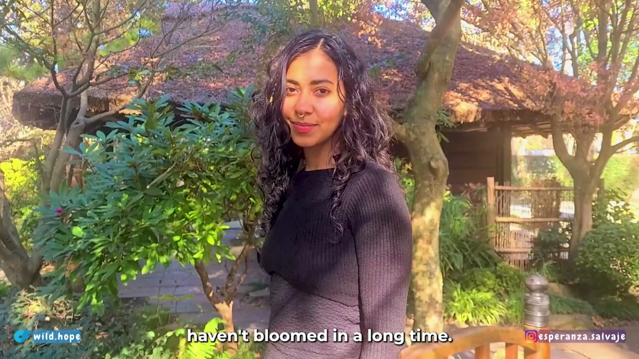 Fiery petite Latina reunites with her ex in an autumn garden, hardcore and horny sex and milk all over her body