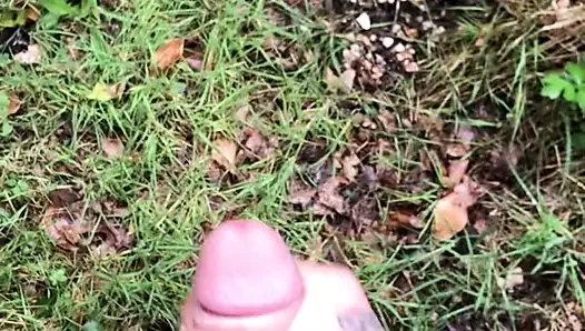 açık twinks