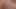 Fat Pigs Disgusting Tits