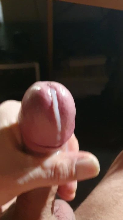 Tribute fuer bi iz