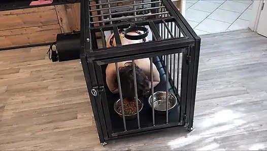 The Everyday Life of a Serf Slave