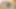 BlakeMason:  Handsome Beau Wesley Ass Pounded and Cock Sucked by Hot Twink Kai Danvers