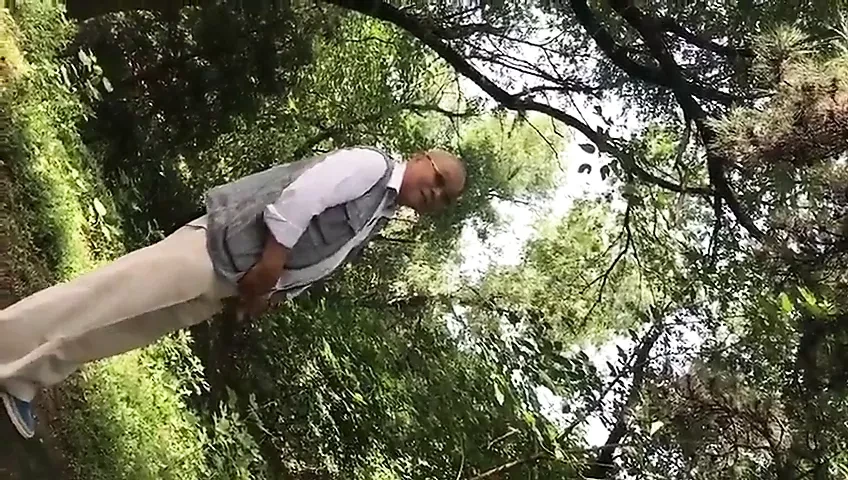 Prelepa azijska tata piša
