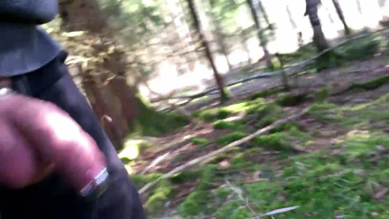 in the woods