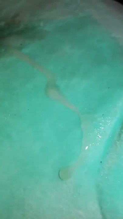 Fucking my bulbasaur plush until I cum all over it - Camilo Brown | Clip 1