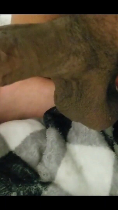 Unforgettable moment from "I love the way I feed my neighbor 24kbooty my young cock"