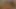 Private Sex at home with 3 hot chicks FULL MOVIE