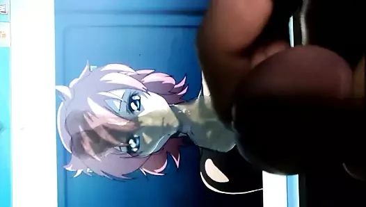 Sop Lacus