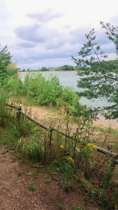Anal sex by the lake after picking up a girl