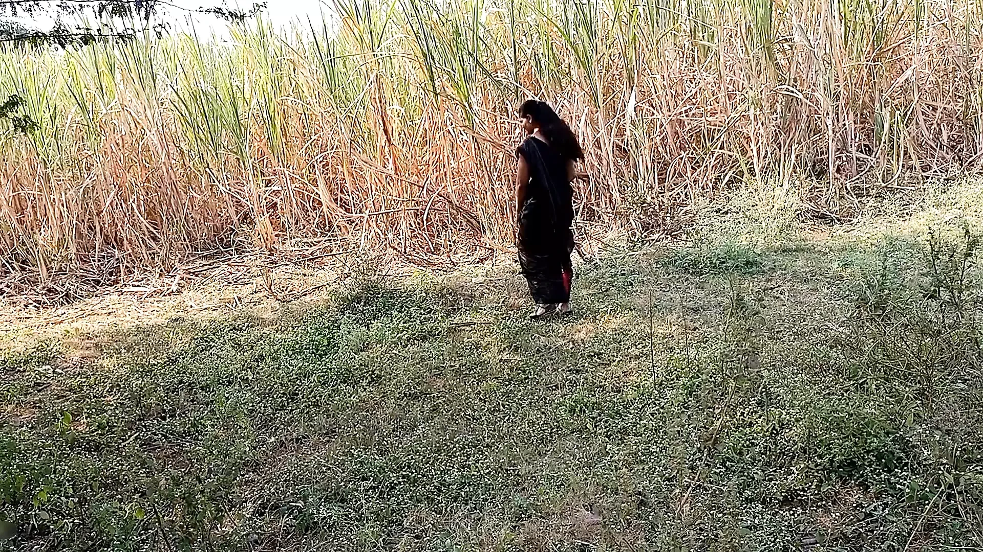Komal apne khet ka ganna apnehi mut chod kar jala dene Vali thi