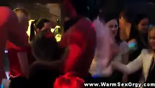 Party sluts at orgy slammed with dick in hot high def
