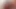genç üniversite babes kullanmak vibratör önce KEDİ yalama