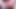 Verrücktes Squirten mit mehreren Vibratoren und Dildos