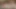 babyybutt gives deepthroat blowjob and gets pov creampie fuck in red lingerie