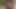 Black Gardener fucks Romanian Maid ( No Audio )
