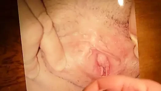 tugaloira kedi için haraç