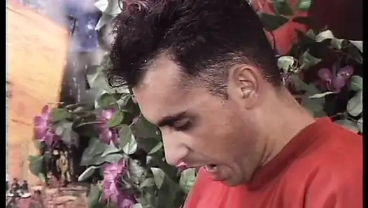 Wild Brunette Suck a Big Hard Solid Cock Like a Pro