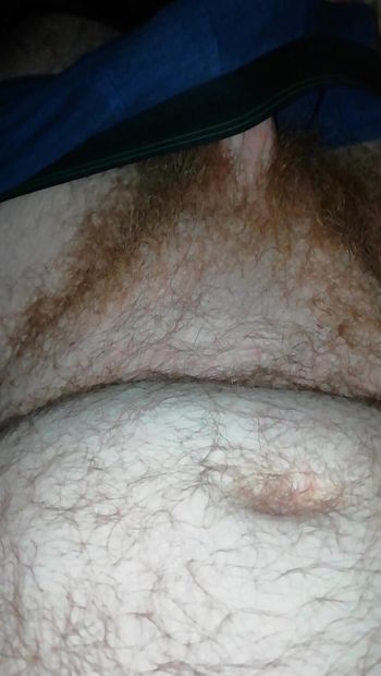Verbal British Hairy Ginger Daddy Bear Wank Showing off his