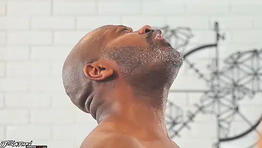 12 Hard Inches of Slavery 2