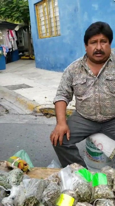 Gordito 1