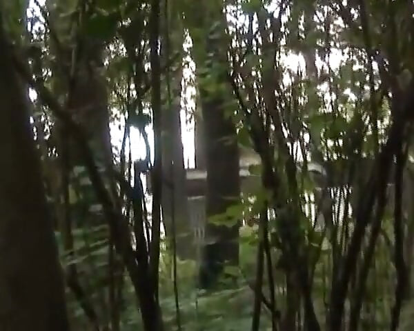 Brunette Chick From Germany Gets Banged in the Woods