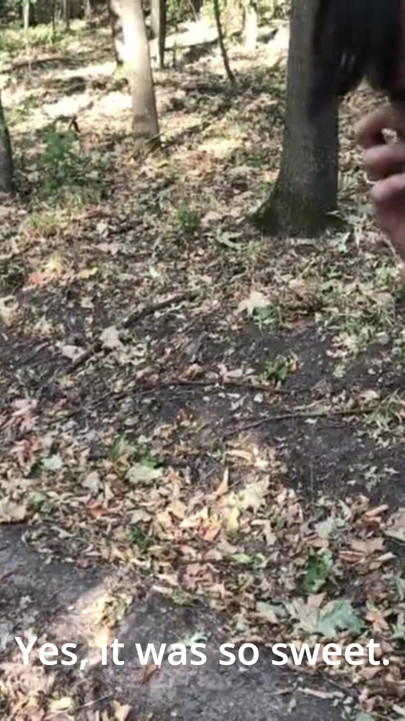 My ex keeps calling my phone while I’m sucking my new guy off in the park! | Clip 1