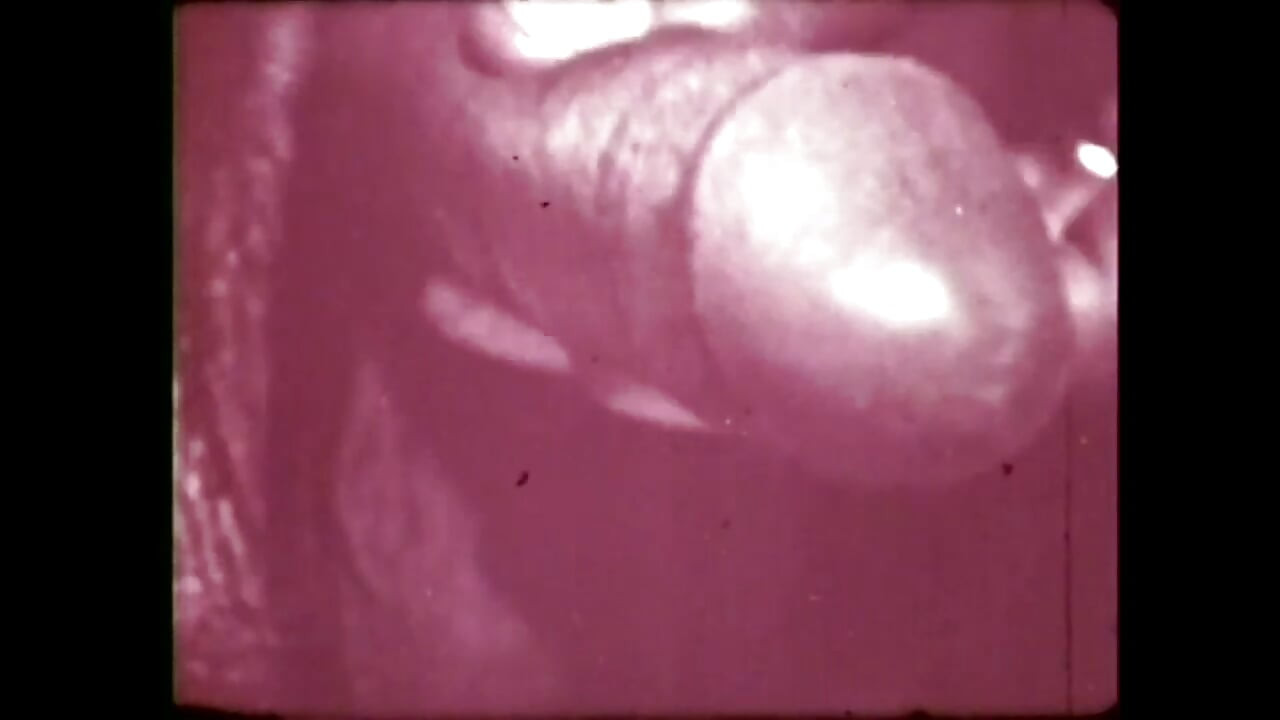 Curvă dezgustătoare și perversă