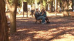 Video pregled