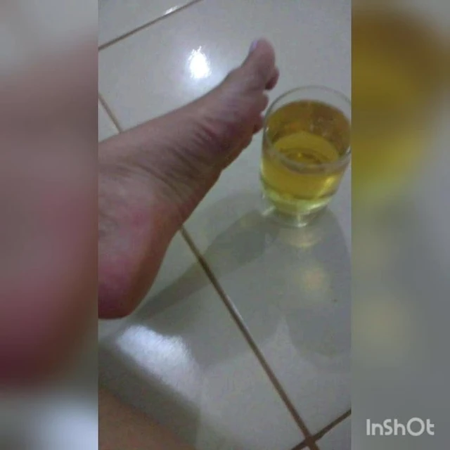 Pelmata