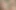 Huge Veiny Cock Covered in Cum Compilation