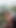 Must-see moment from "HUNT4K. Humiliating her boyfriend while sucking a huge biker's cock in the forest"