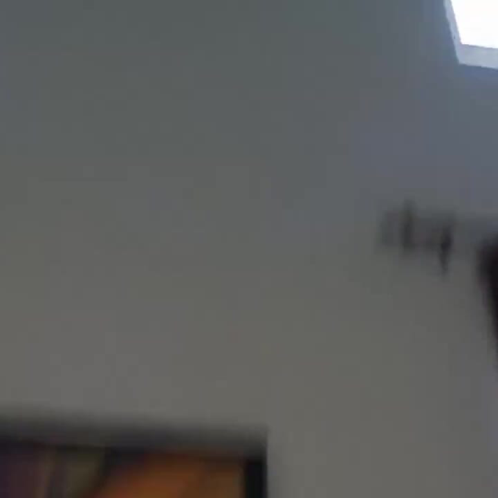 Brunette MILF Takes Thick Cock in Hairy Pussy
