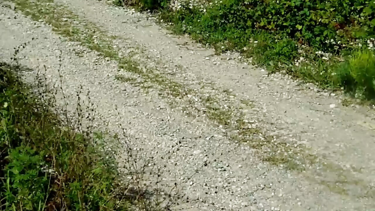 My teen stepdaughter gave me a delicious blowjob while we were walking by the sea