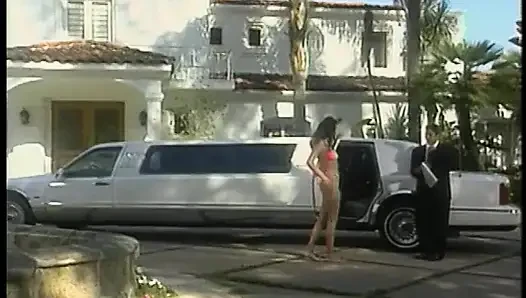 Sexy slut with nice tits gets fucked in the back of a limo