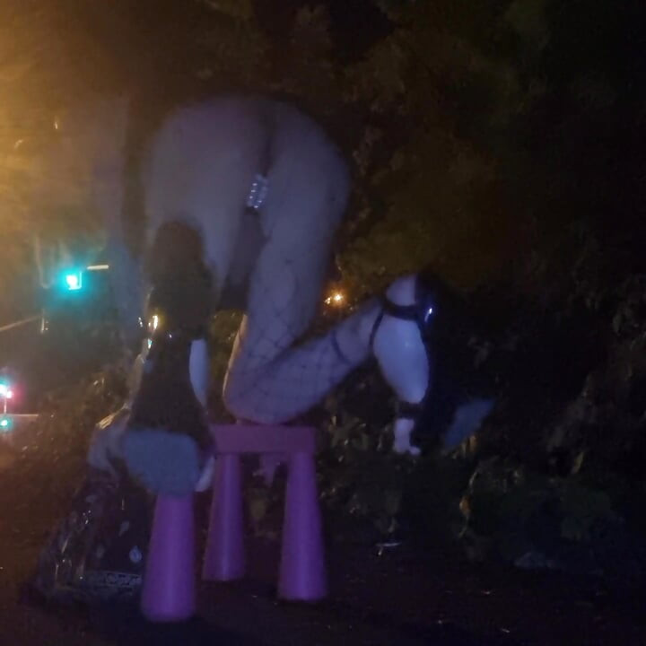 A Whore in a Mini-Skirt Ras du CuL, on the Edge of the🛣Nationale 7 in BRUNOy. 2H00 VaneSsaBiTCHx PariSChienneTrvprod⁹¹