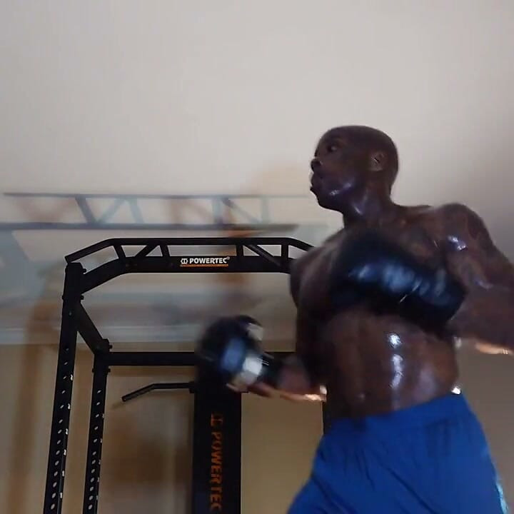 Boxing Workout Integrated Training Combines Flexibility, Cardiorespiratory, Core, Balance, Plyometric