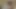 Girl is masturbating first time outdoors (at the forest)  LisaLangen