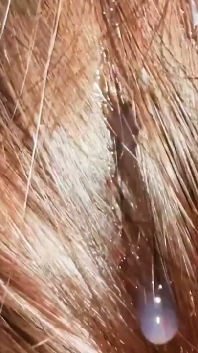 This Natural Remedy Will Strengthen Your HAIR! Cumshot on Hair. Brushing Cum Into Hair. | Clip 1