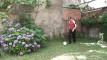 Pregled videozapisa