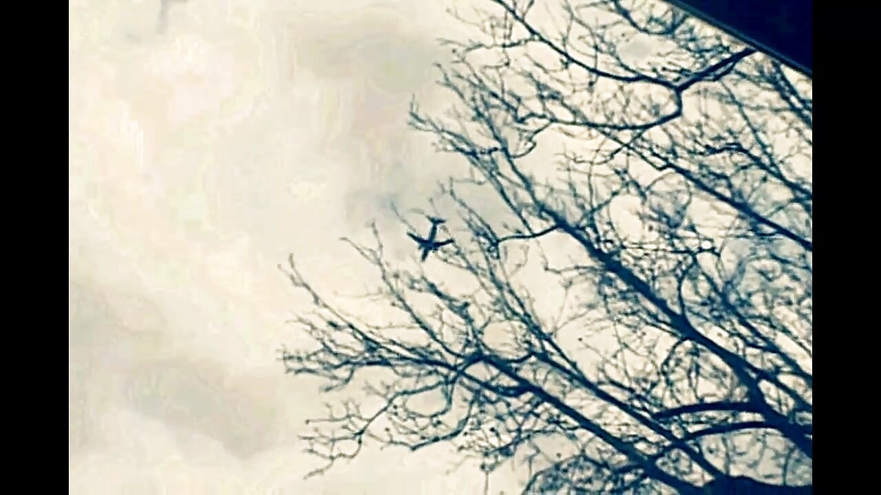 Vintage Porn of a Fat Housewife with Hairy Pussy Fucked by a Big Cock in the Pool