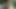 524ブロンドモデル
