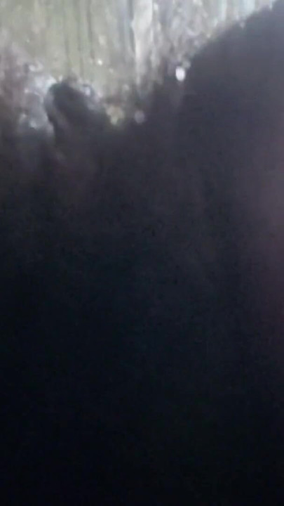Natural Hairy Beauty – Authentic Amateur POV with Real Unfiltered Look | Clip 1