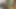 (cumshot) 2 Afrikalı erkek tarafından becerdin ve cummed var