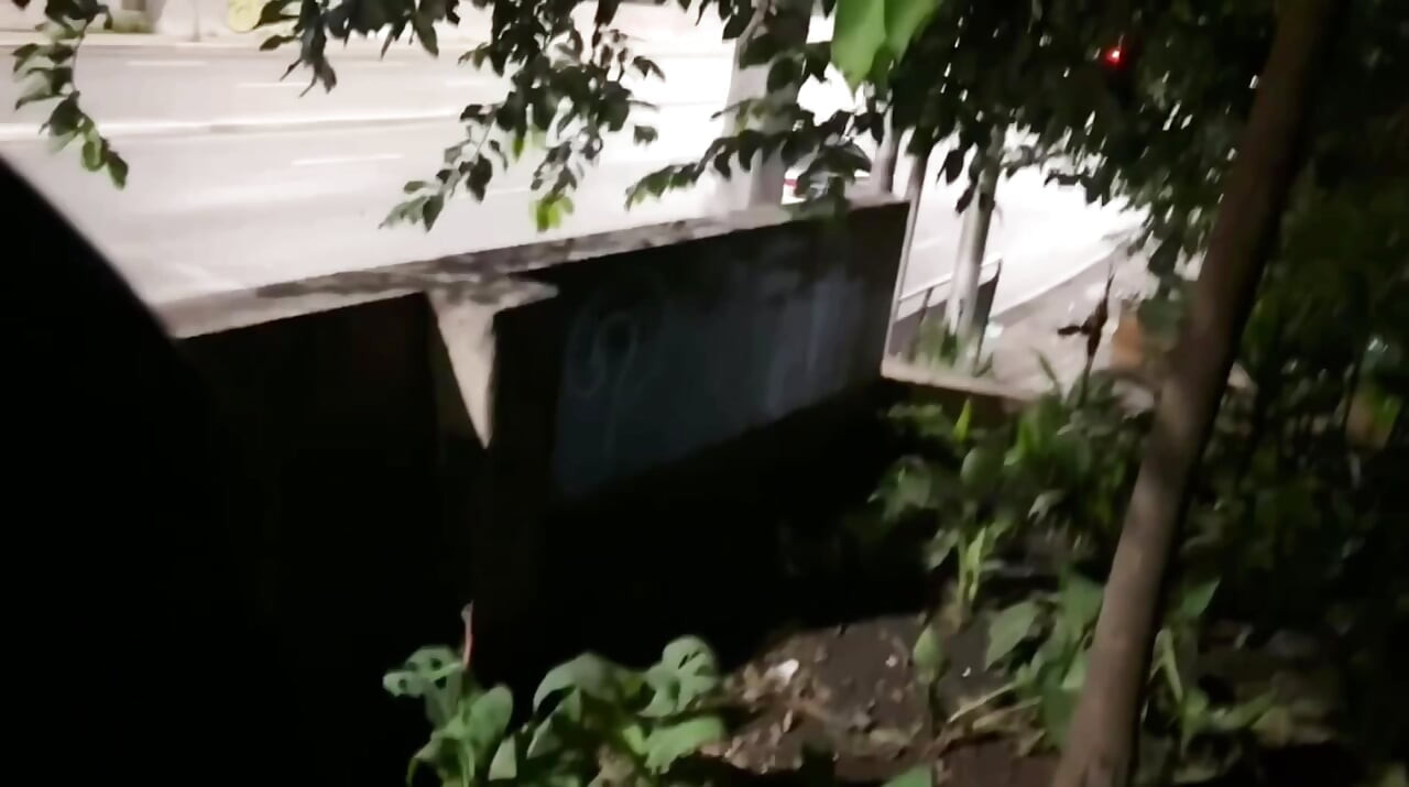סקס באחת השדרות העמוסות ביותר בסאו פאולו